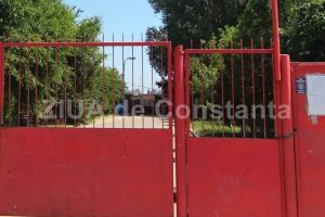 Un SRL din Bucuresti castiga contractul de servicii veterinare de la Biobaza:  A vrut sa inchirieze un sector de plaja, dar, intre timp, a batut palma cu Primaria Constanta (document) 