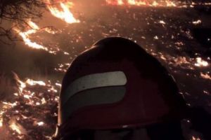 Incendiu puternic în Nehoiu. Arde pădurea. 14 hectare de vegetaţie cuprinse de flăcări