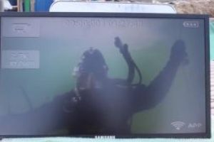 Dialog subacvatic, la Dalnic: Camere video, sub apă, pentru interacţiunea scafandru-părinte şi pentru monitorizarea interacţiunii dintre om şi peşti