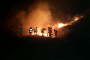 Doua incendii violente au mistuit zeci de hectare in judetul Tulcea. Pompierii s-au luptat cu flacarile (galerie foto+video)