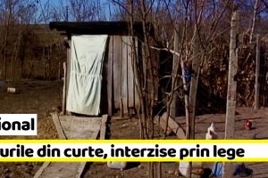 Naţional: WC-urile din curte, interzise prin lege