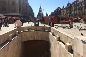 Timişoara curată, cu Poliţia Locală. Agenţii în civil au dat 50 de amenzi în patru zile