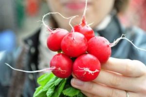 Ridichile roşii de lună reduc riscul de cancer, protejează rinichii şi ficatul, ajută şi la slăbit