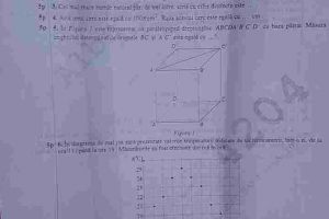 FOTO/ VIDEO: SUBIECTE simulare EVALUARE NAȚIONALĂ 2019, la MATEMATICĂ, pentru elevii de clasa a VIII-a