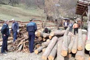 Continuă şirul delictelor silvice constatate de poliţiştii prahoveni
