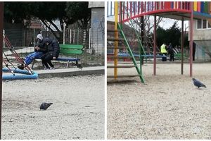 Tineri leşinaţi din cauza drogurilor, ridicaţi de poliţişti dintr-un loc de joacă pentru copii