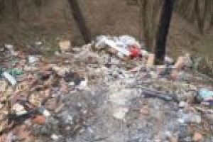 Poliţia Locală Caransebeş răspunde la sesizări cu amenzi!