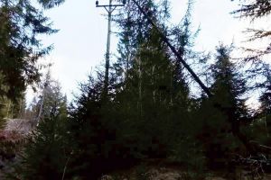 Opt localităţi sucevene fără energie electrică, din cauza vântului puternic