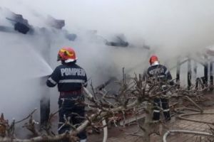 Incendiu lângă Timişoara. Ard gunoaiele reciclabile