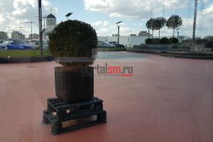 FOTO&VIDEO. Zăpada mieilor! Fulgi de nea, astăzi, la Satu Mare