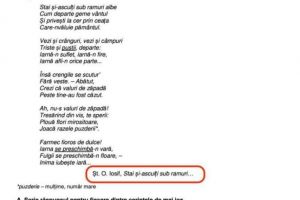 Eroare la simulare: O poezie a lui Heinrich Heine a fost atribuită poetului St. O Iosif