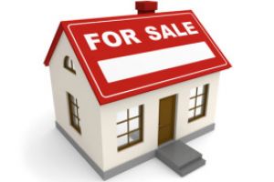 Vanzare casa si teren arabil in Rogoz – Extras publicatie imobiliara, din data de 12. 03. 2019