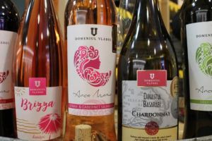 Degustare vinuri Domeniul Vlădoi