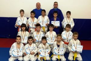 Judo / Succese pe două fronturi