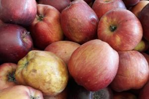 Fructe şi legume cu probleme, în unităţile alimentare din judeţ