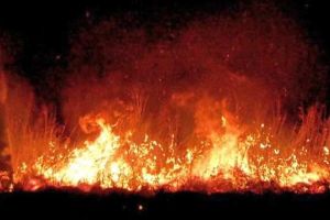 INCENDIU de vegetaţie uscată, în cartierul Oarda, din Alba Iulia
