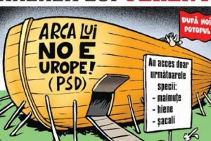 Părerea lui Terente