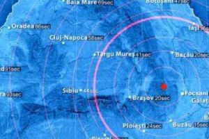 Cutremur în România. Mişcarea plăcilor tectonice a generat panică la INFP