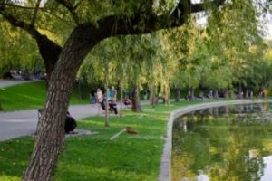 Eveniment de conştientizare ecologică în Parcul Alexandru Ioan Cuza din Capitală