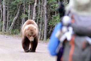 Măsuri de securitate sporite la spital. Cine sunt atacatorii din natură?!