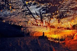 Comorile din peştera închisă peste o mie de ani