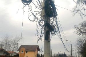 Robu ameninţă iar pădurea de cabluri aeriene: Vom intra în forţă şi le vom tăia pur şi simplu
