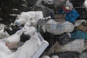 Primăria Izvoarele Sucevei, amendată de Garda de Mediu pentru muntele de gunoaie care a stat ...