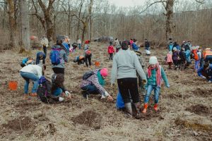FOTO Acţiune de împădurire a Sibiului – Și tu te poţi implica!