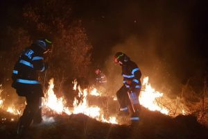 Avertizare de la pompieri: 17 incendii de vegetaţie în ultimele 14 zile