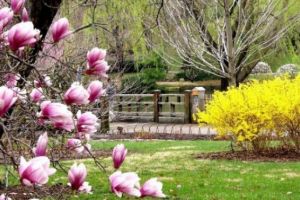 PROGNOZA METEO LUNARĂ. Vremea se încălzeşte