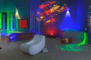 Susţine un proiect vital pentru copiii cu dizabilităţi – Proiect „de suflet” al Maratonului Sibiului