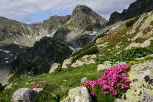 Dezvăluirea unui inginer: Bunuri ale patrimoniului natural din Transilvania, ţinta controlului UDMR
