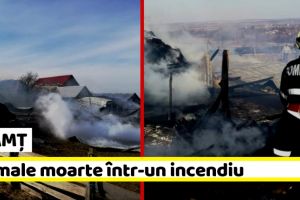 NEAMȚ: Animale moarte într-un incendiu. Două persoane au suferit atac de panică (FOTO)