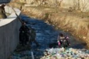 În casă – păpuşă, afară – mătuşă! La Moldova Nouă, ignoranţa omoară mai repede decât gunoiul!