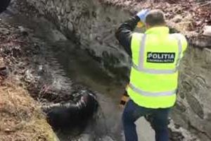 A murit în canalul Mânăstirii Curtea de Argeş!
