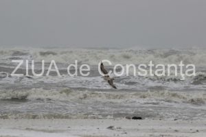 Nava cargo Grande America, scufundata in largul coastelor franceze, transporta materiale periculoase