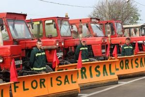 Se cere insolvenţa Florisal. O firmă a depus cerere la Tribunal!