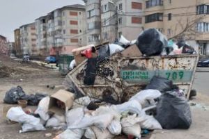 VOCEA BAIMAREANULUI: Mormane de gunoaie intr-o zona din oras (FOTO)