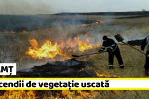 NEAMȚ: 20 de hectare de vegetaţie uscată, mistuite de flăcări