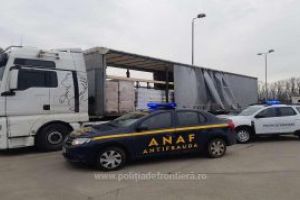 Captura de proportii: O tona de tutun de contrabanda ascunsa printre balsam si detergent de rufe. Soferul a incremenit la efectuarea controlului