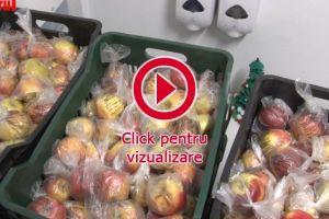 Mere stricate pentru elevi: amenzi pentru responsabilul şcolii şi producător