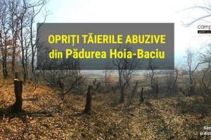 Peste 5000 de semnături pentru a salva Pădurea Hoia-Baciu