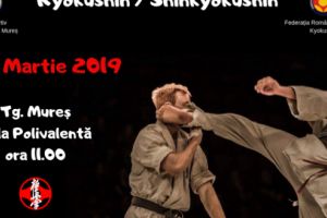 Naţionalele de kyokushin la Târgu-Mureş