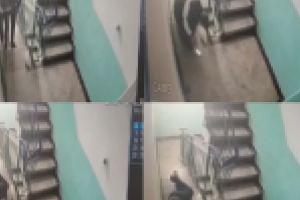 Frica pazeste pepenii dar … frica de nevasta te baga in belele