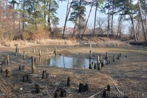 Primăria Sânmartin vrea pod peste lacul Peţea şi monitorizarea liliecilor din Betfia