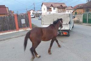 Amendată de două ori în aceeaşi zi