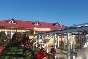 Primarul Dorinela Irimia anunta noi proiecte si investitii in comuna Saraiu (galerie foto)