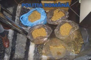 Percheziţii la locuinţa unei femei din Târgu-Jiu