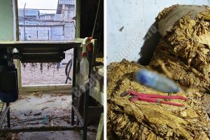 DÂMBOVIȚA: Percheziţii la depozite ilegale de unde se livra tutun pentru comercialiare pe internet