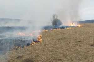FOTO Incendiu de vegetaţie între Apoldu de Jos şi Apoldu de Sus
